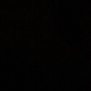 Meet your Posher, Bernadette